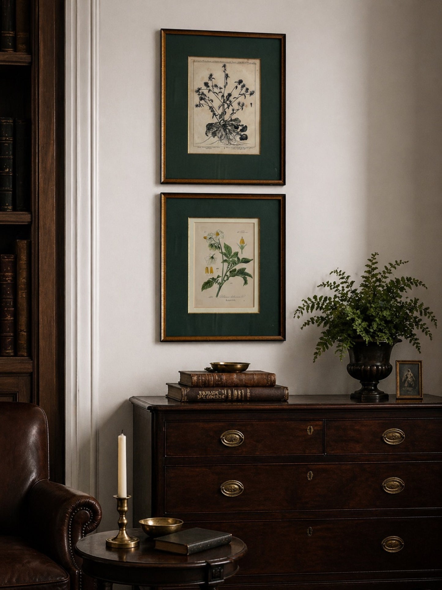Pair of 18th century botanical engravings