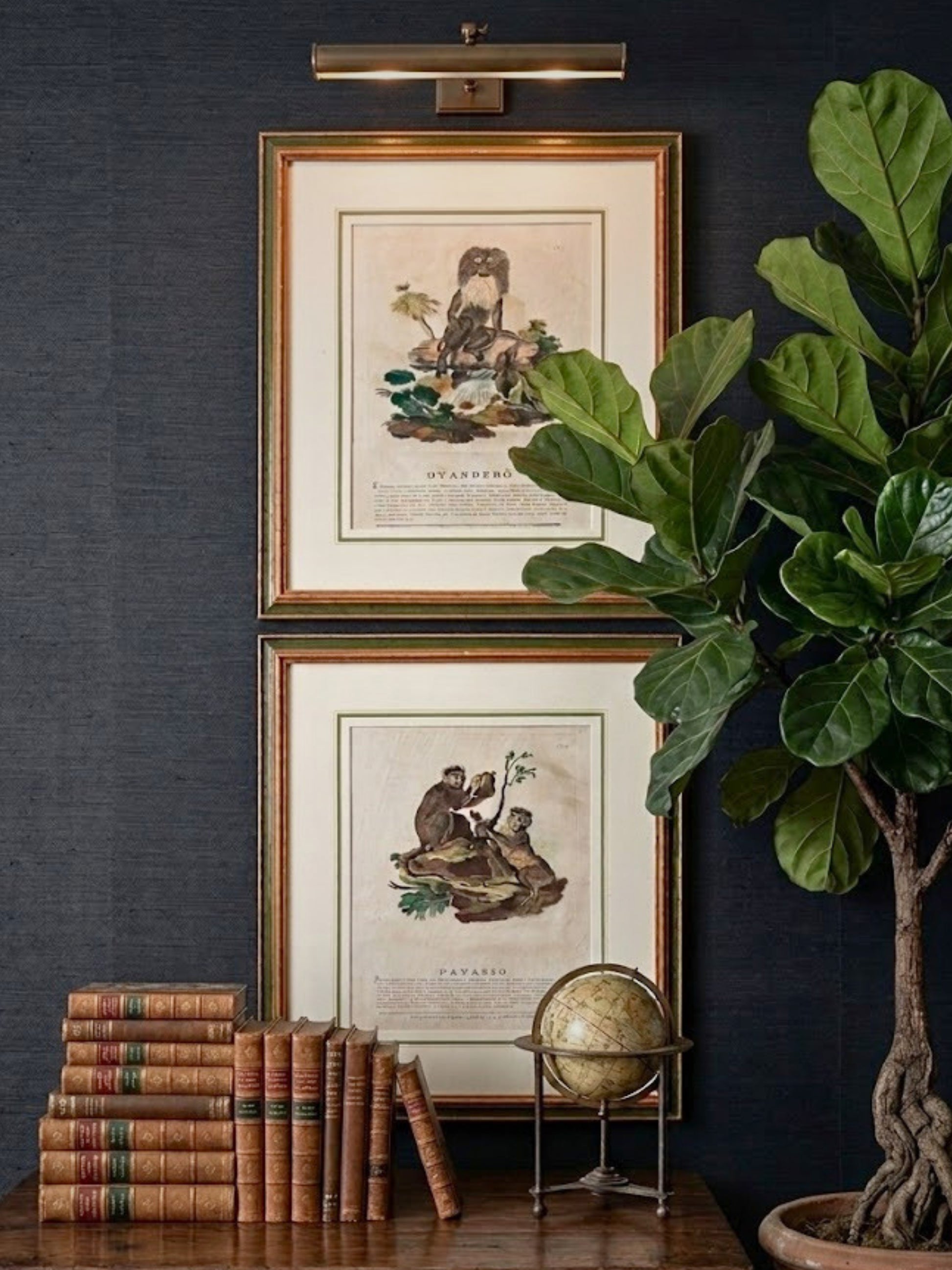 Pair of 18th-century Spanish exotic engravings